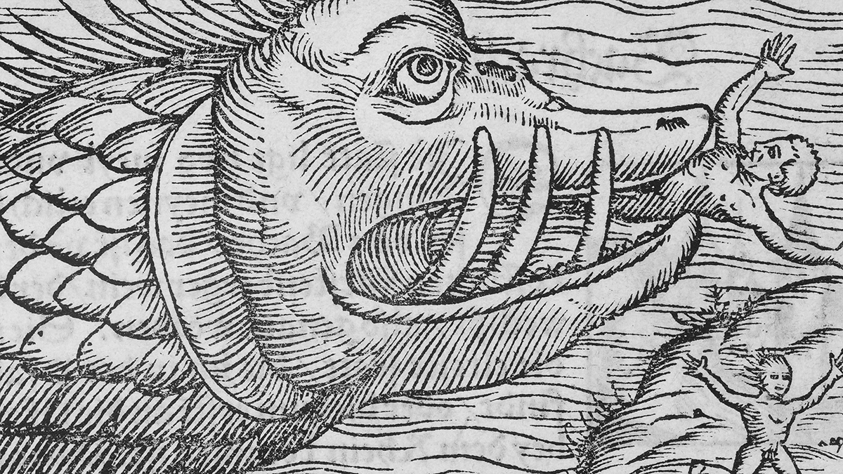 Woodcut of an orc. Sorry, I mean an orca.
